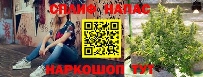герыч Новодвинск