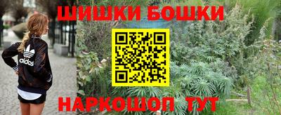 винт Новозыбков