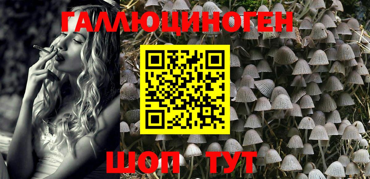 Галлюциногенные грибы мухоморы Тайшет